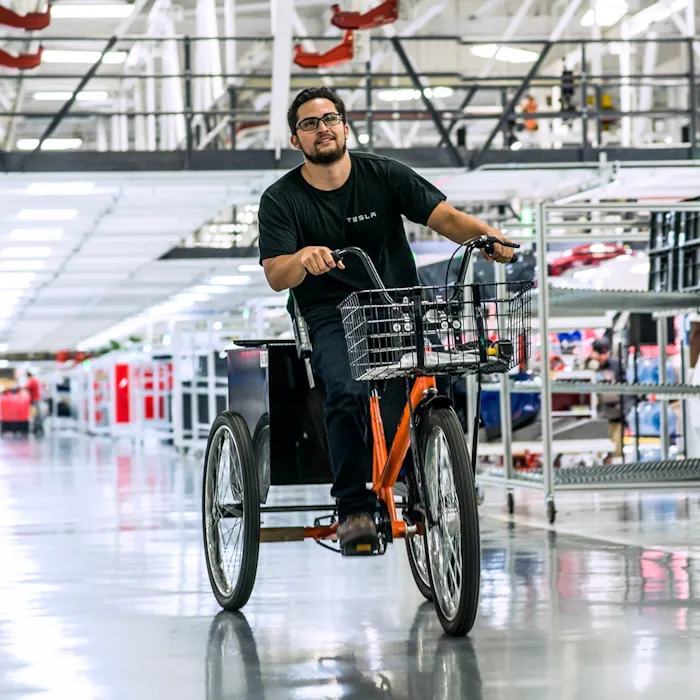 Tesla Auto Technician Jobs