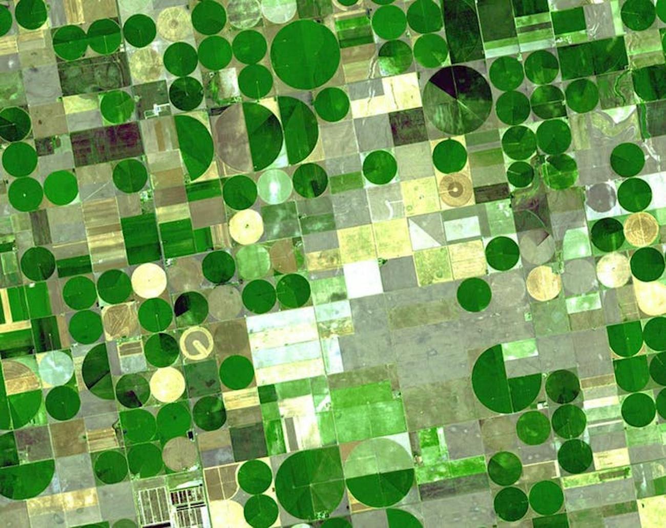 ogallala aquifer,ogallalaaquifer denote irrigated plots using water from the ogallala aquifer