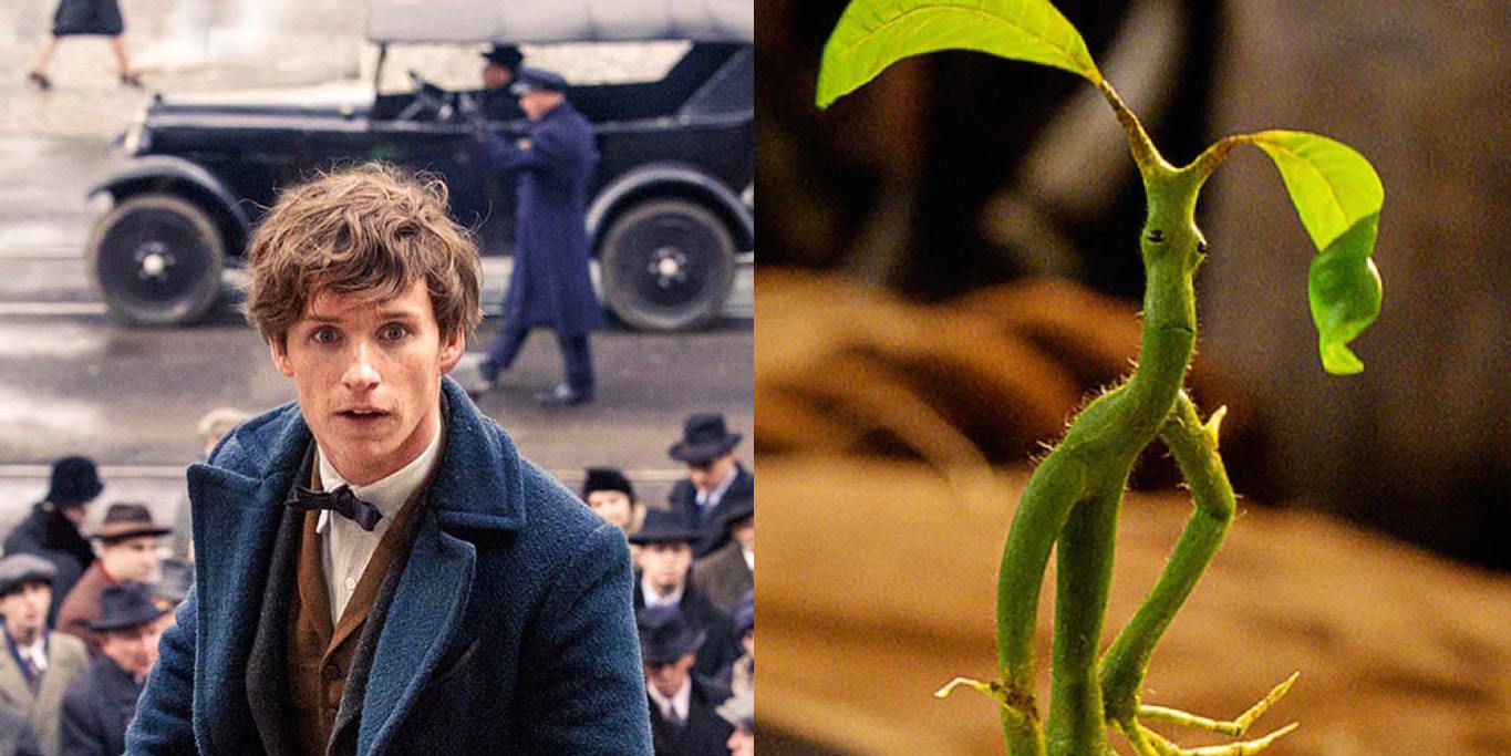 Newt Scamander's Favorite Beast is this Sentient StickBug Inverse