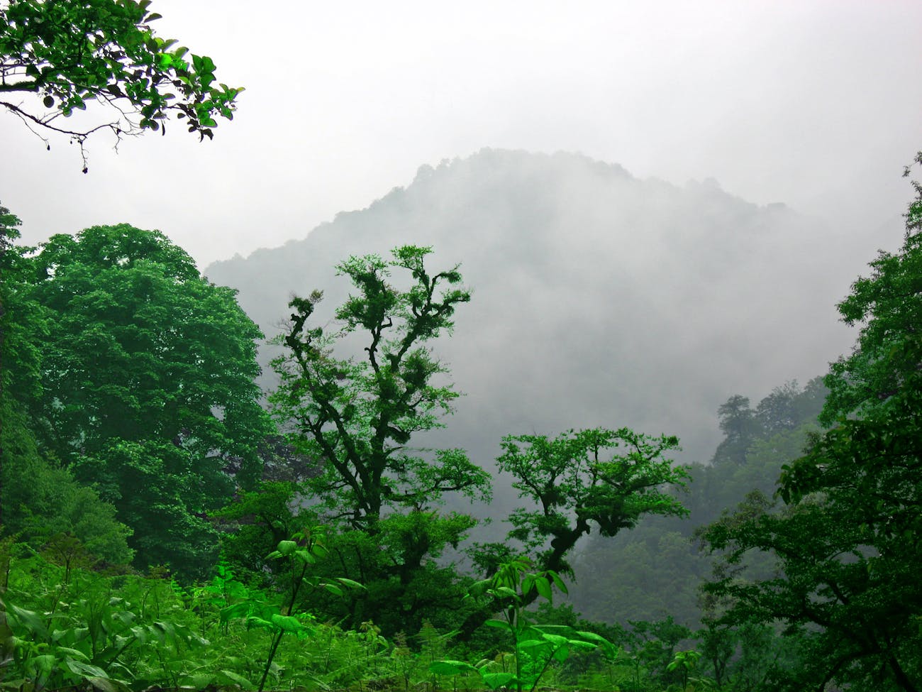 Ghaleye Rud Khan