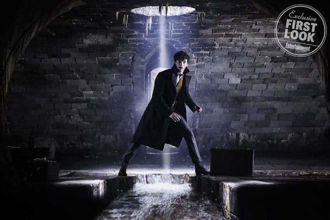 Newt's back at it again traipsing through the underground.