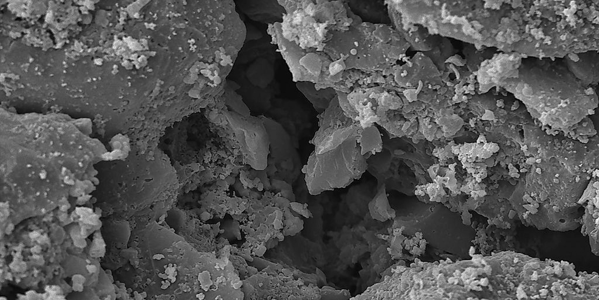 Activated charcoal up close