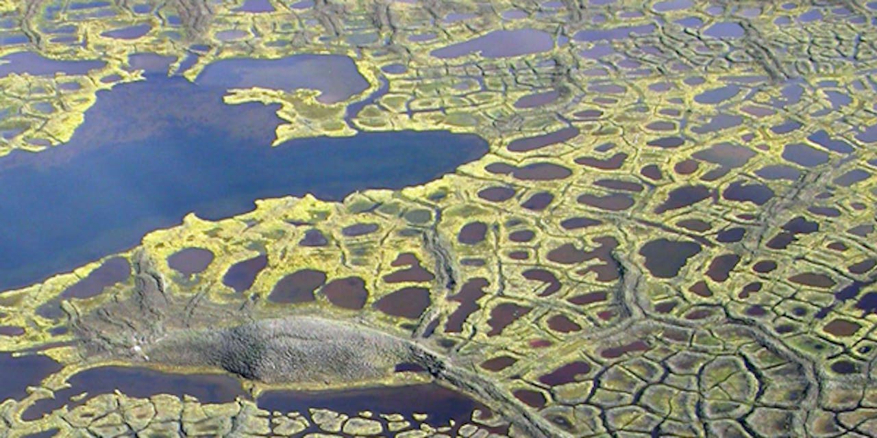 Carbon seeping up from the thawing permafrost turns lakes and ponds brown.