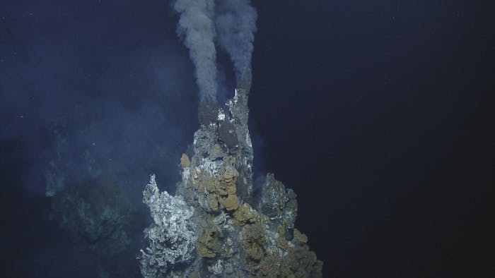Deep-sea hydrothermal vents, known as black smokers, host a wide range of life, including skate eggs.