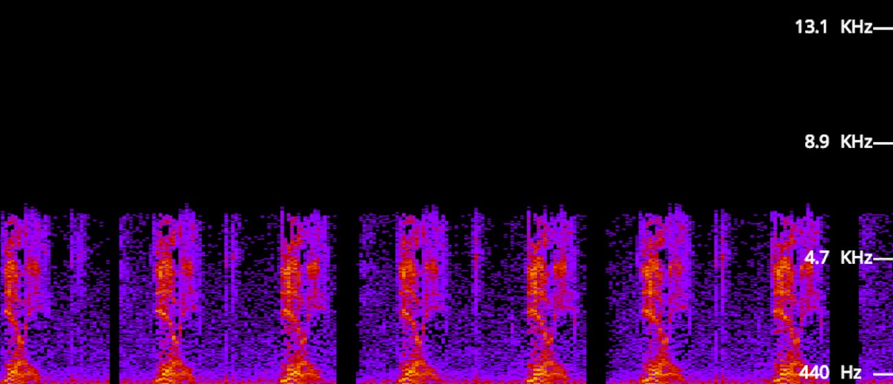 yanny laurel frequency analysis