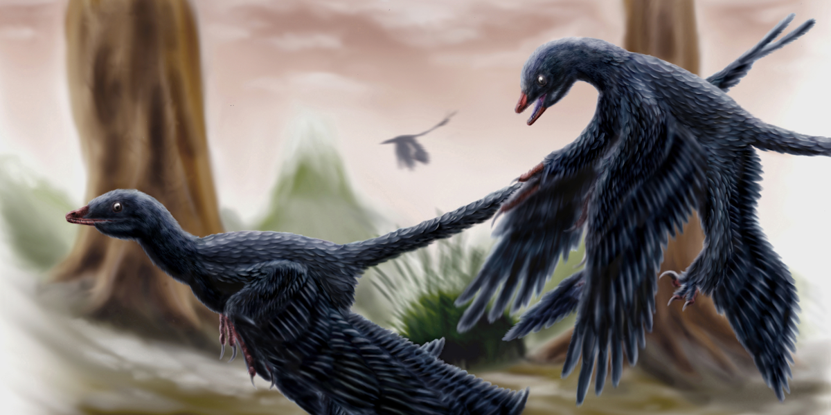 evidence that birds evolved from dinosaurs