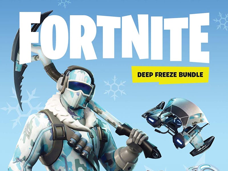 Fortnite Deep Freeze Bundle Is A Totally Brilliant Waste Of Money - fortnite deep freeze bundle is a totally brilliant waste of money inverse