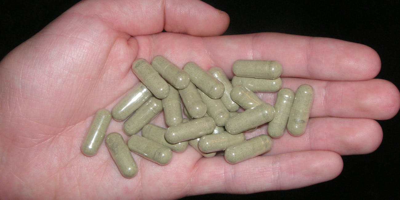 Kratom: Why the FDA Just Warned the Herb is an ‘Opioid’ | Inverse