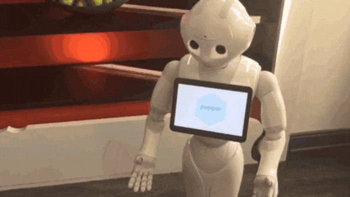 Pepper the Robot.