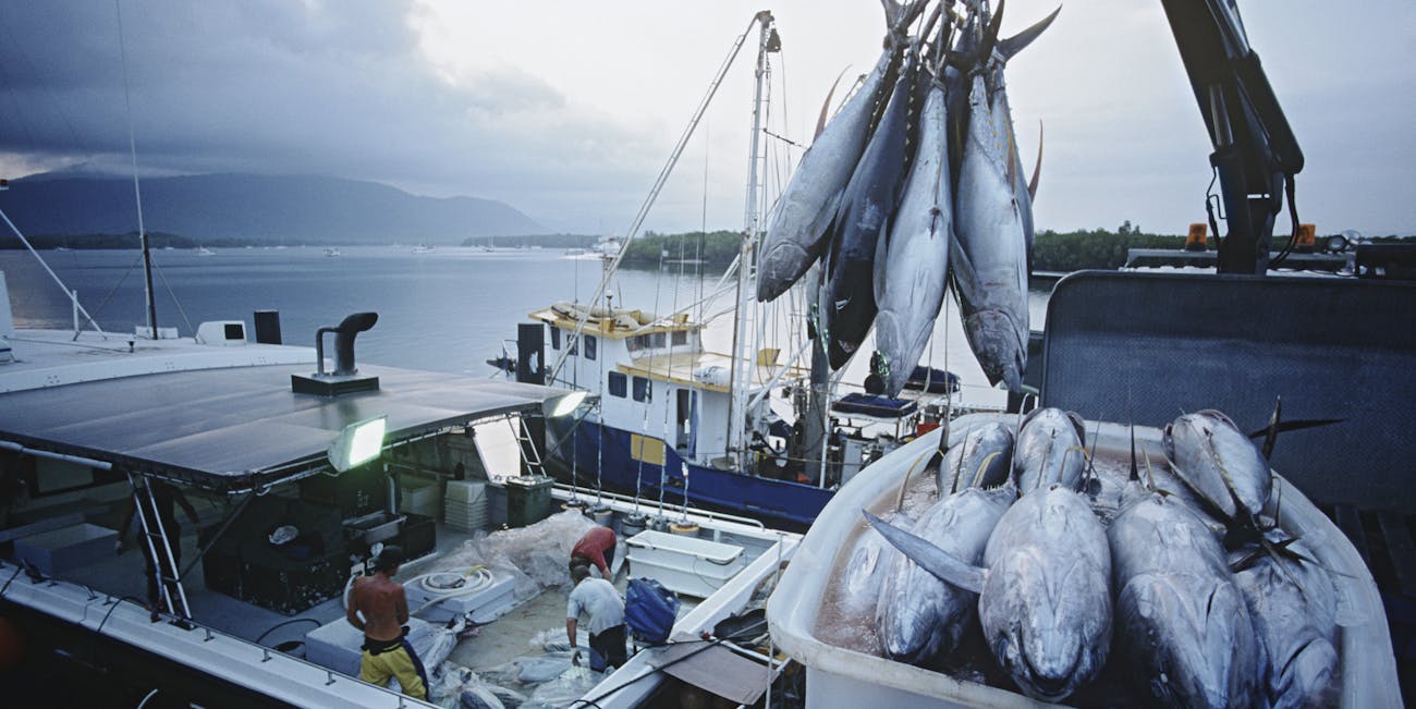 As tuna stocks drop, the international community is waking up to the fact that the ocean is not limitless.