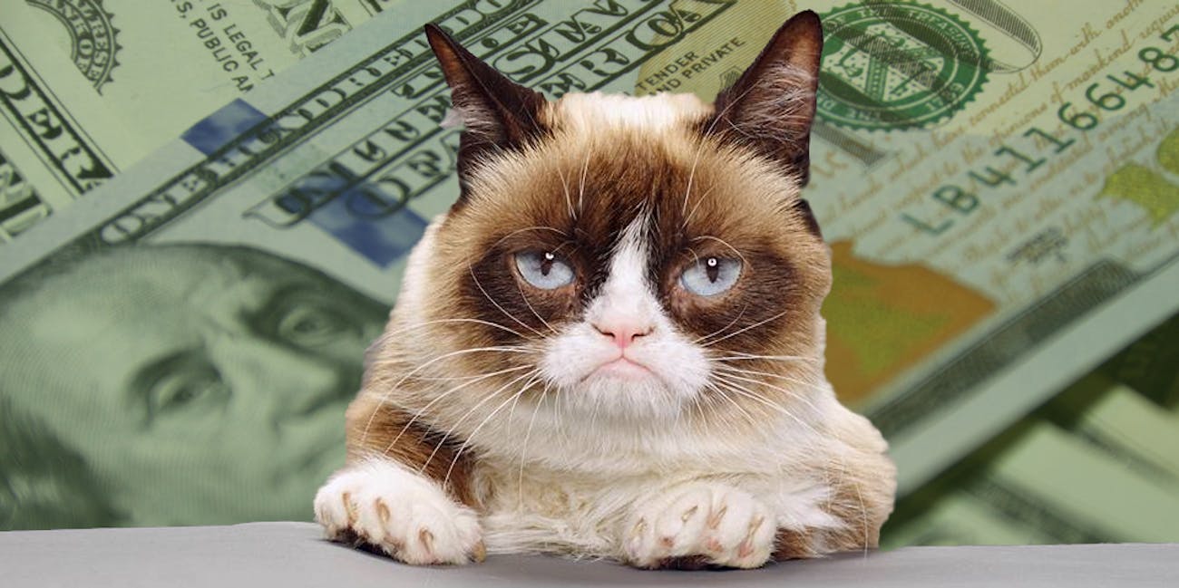 Grumpy Cat’s Net Worth Just Grew 710,000 Over Copyright Lawsuit Inverse