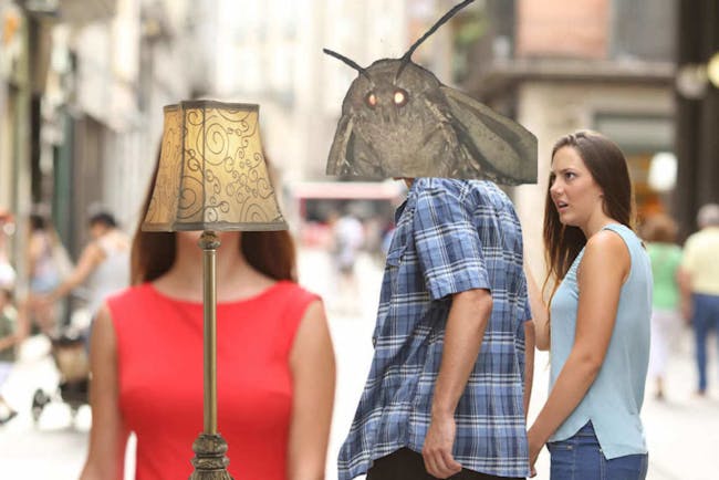 Image result for moth memes