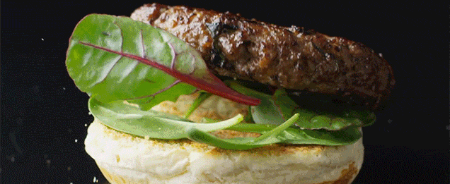 fat food gene discovery could lead to crispr based biohacking boom fat food gene discovery could lead to crispr based biohacking boom inverse