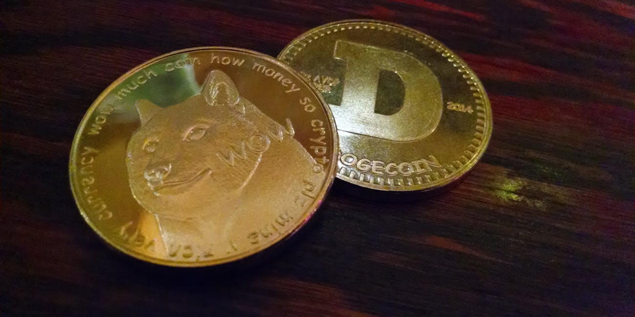 1 bitcoin dogecoin how much can i make trading crypto