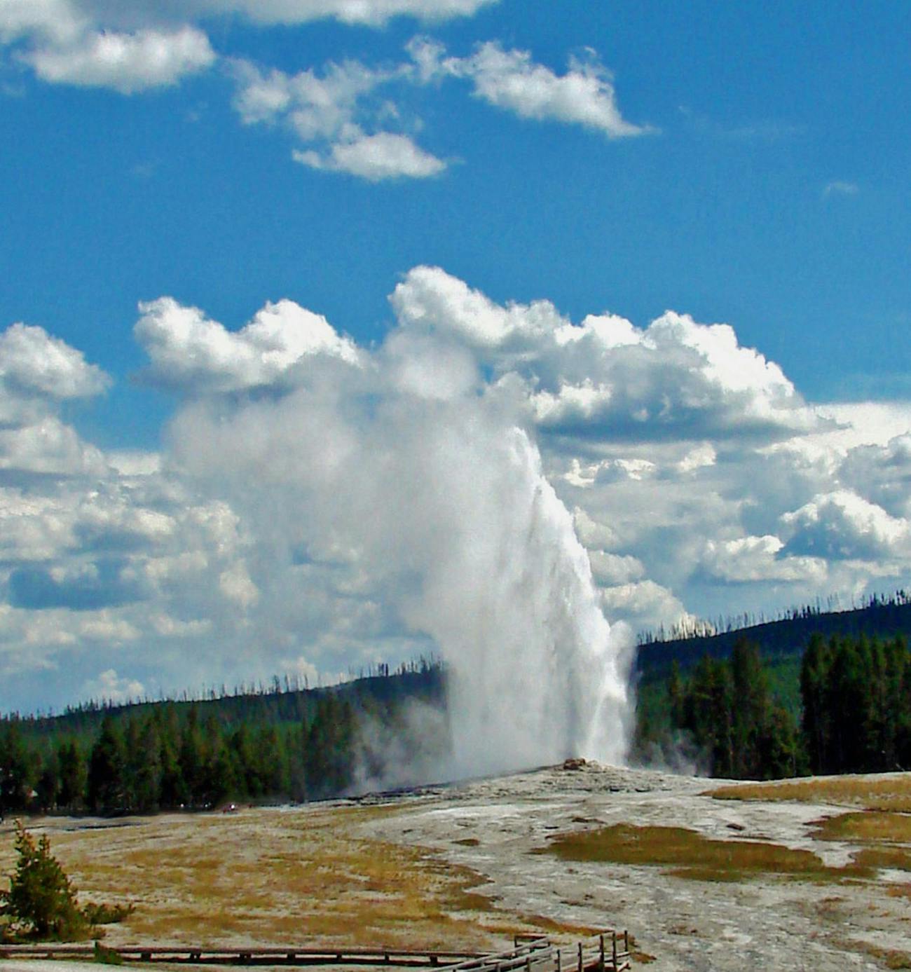 Old Faithful Yellowstone national park