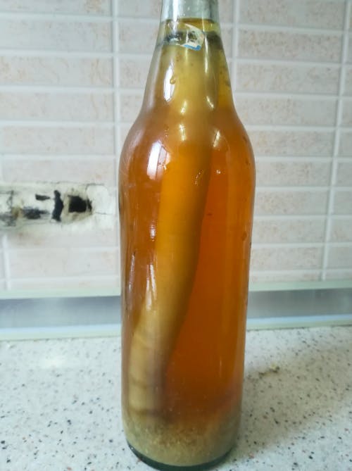 mr. yeasty