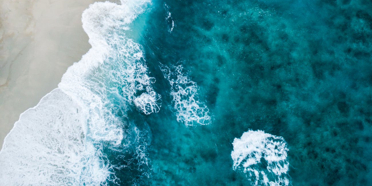 Scientists predict that green ocean water will get greener, while blue water will get bluer.