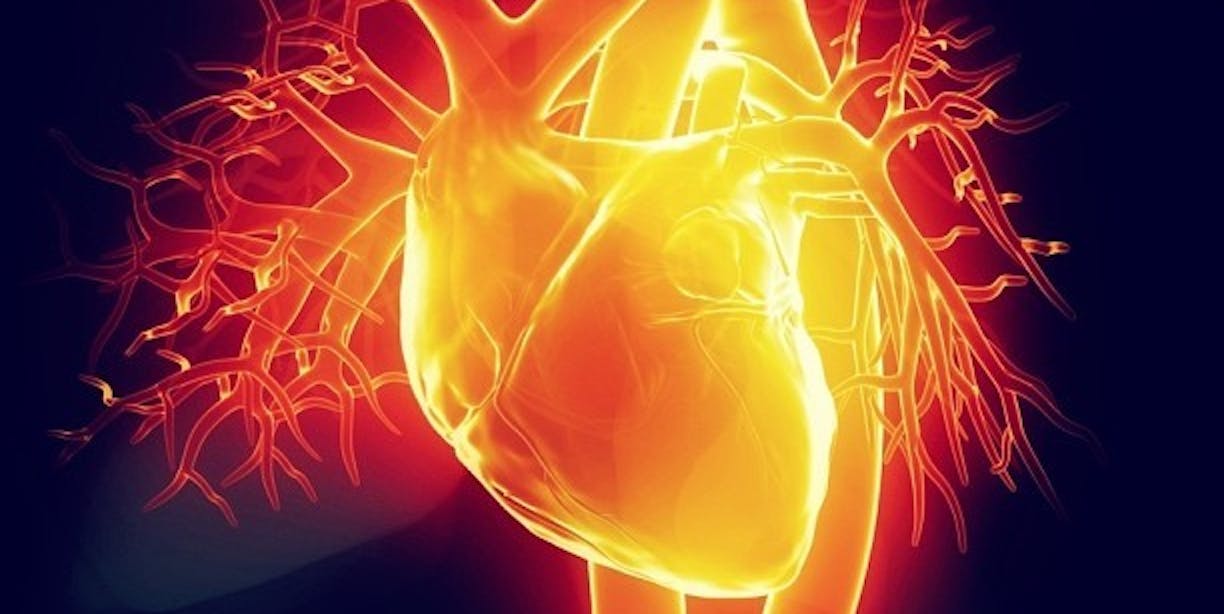 heart