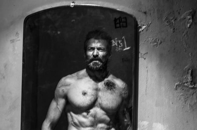 Logan Weapon X Wolverine
