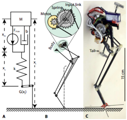 Salto, The World's Best Jumping Robot, Could Be Used In Earthquake ...