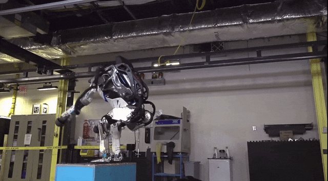 nov-16-2017-17-34-00gif.gif?auto=format,compress&w=640&gifq=35