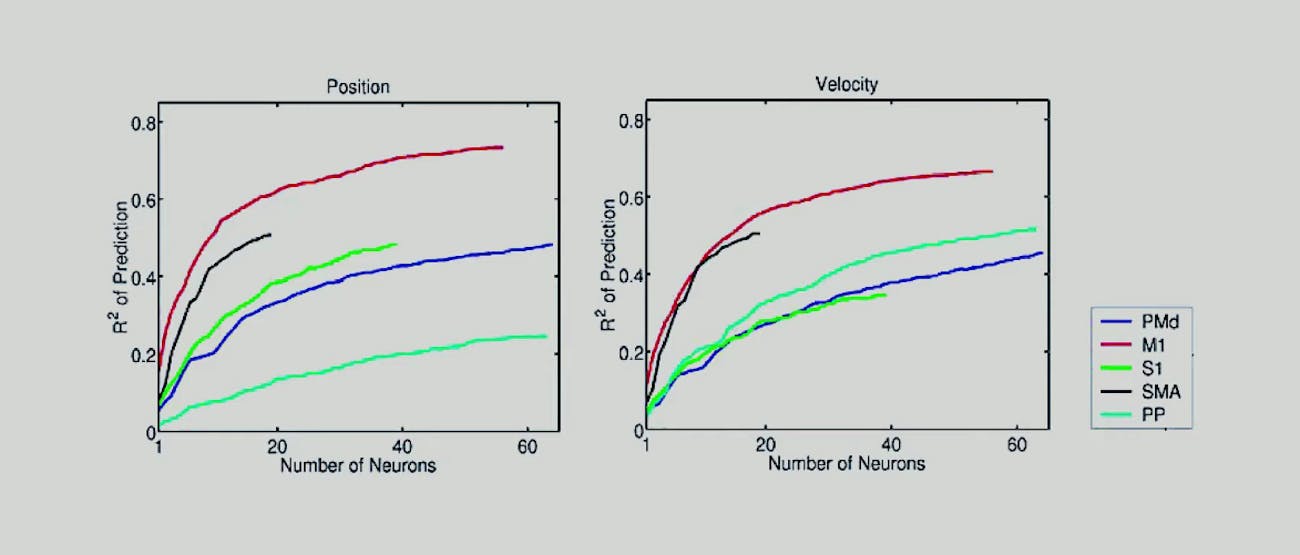 Neuralink: "Classic" 2003 Paper Is the Foundation for Elon Musk's