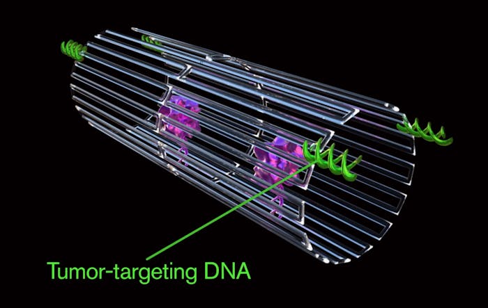 DNA origami nanorobot