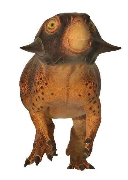 psittacosaurus was brownish in color, and its scaly skin shows