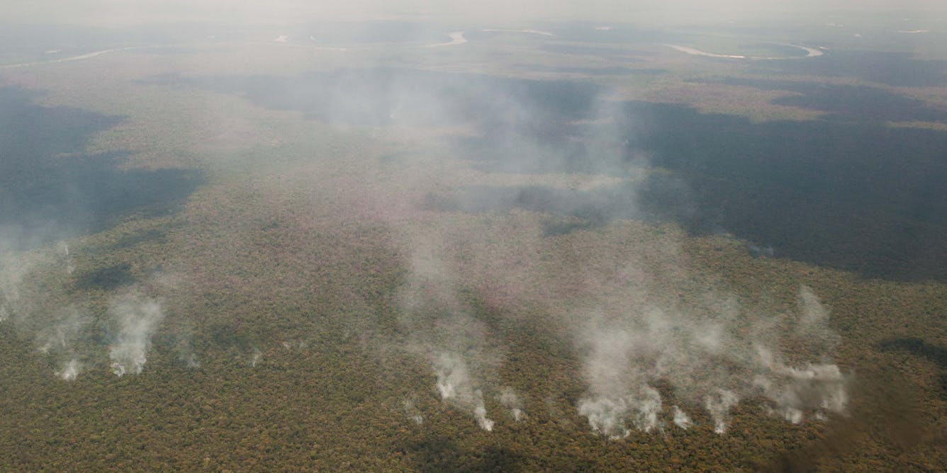 The Amazon Is on Fire. Here Are 5 Things You Need to Know