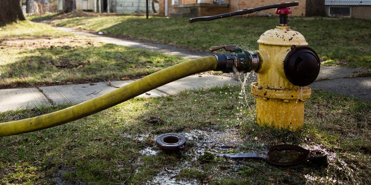 Water contamination has led to a fertility crisis in Flint, Michigan.