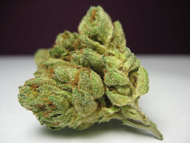 OG Kush weed jazz cabbage