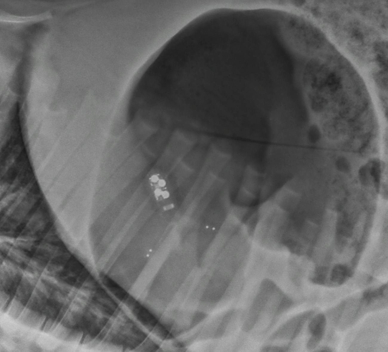 Image courtesy of researchers