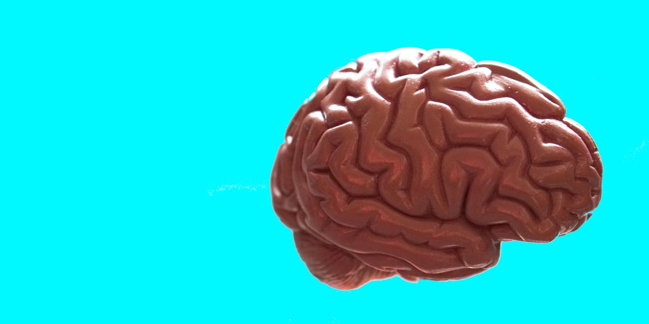 Brain on turquoise background