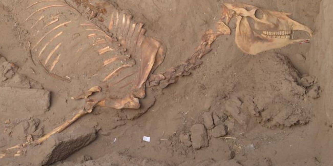 horse tomb