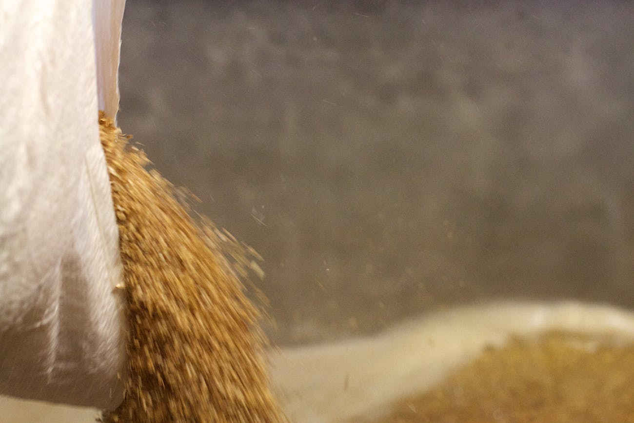 Enter The Malt
