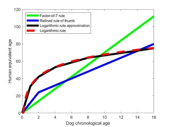 dog age, graph