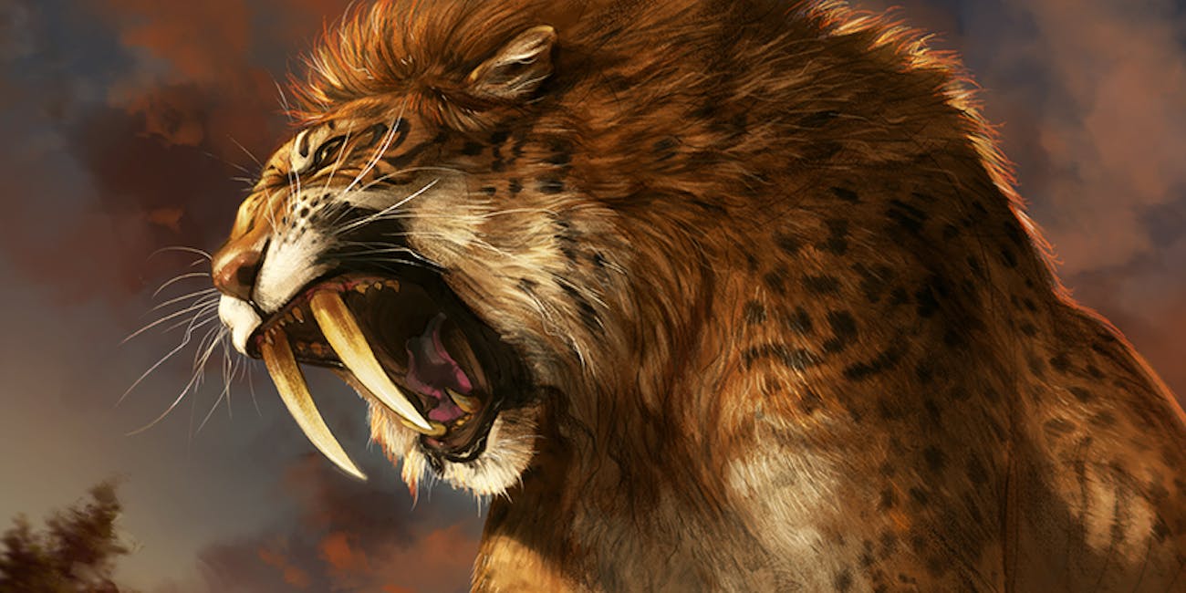 saber-tooth cat