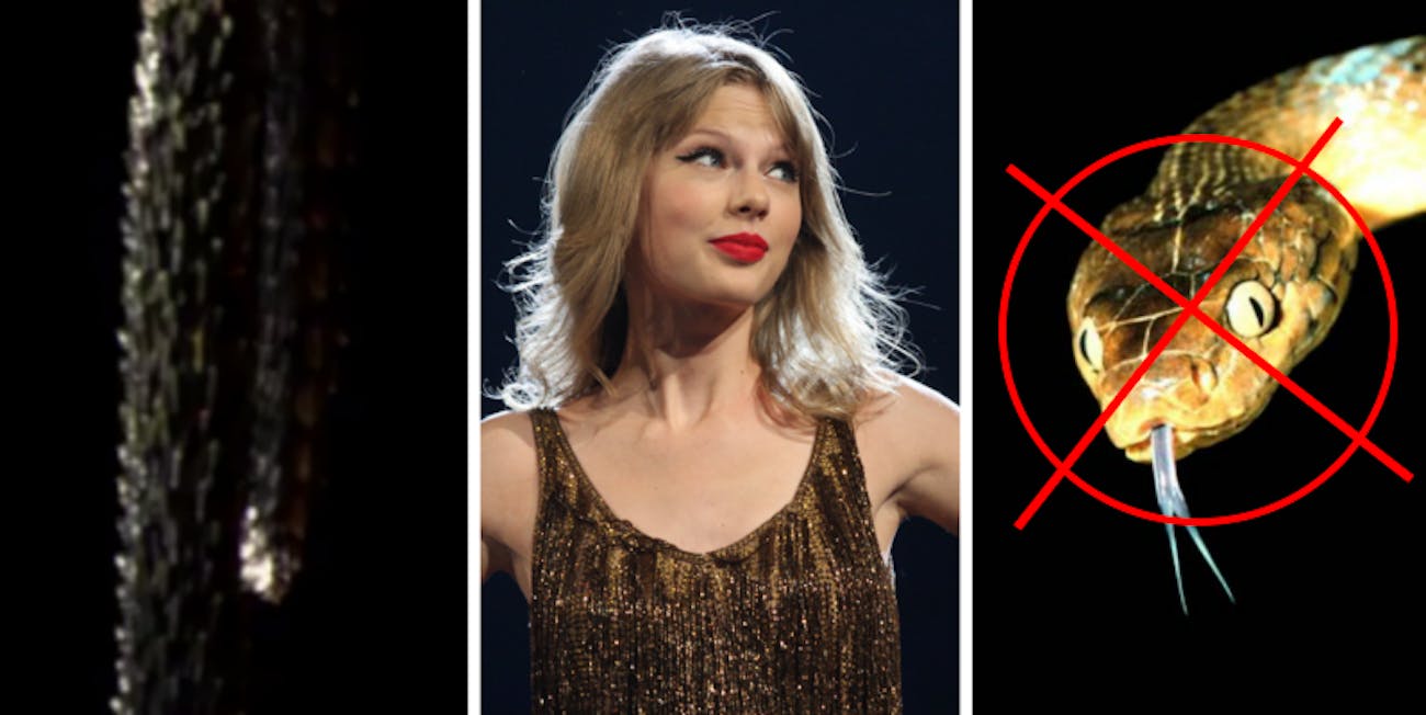 Is Taylor Swift a snake or not?