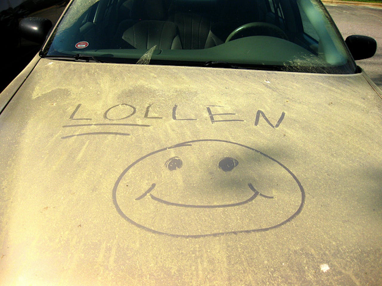 Pollen