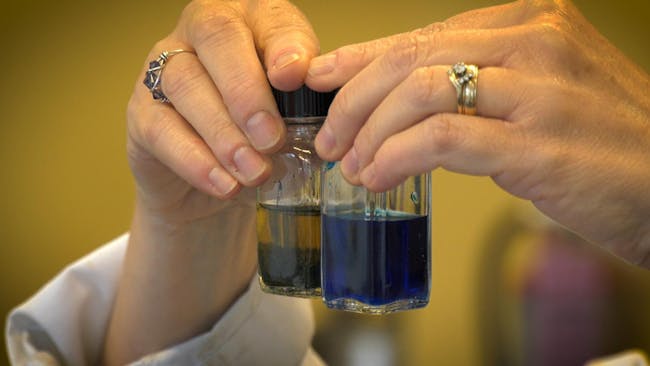 Fruit and Vegetable peel filtration filter water toxins heavy metals Cindy Samet chemistry Dickinson College