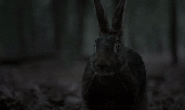 an-evil-demon-hare.gif