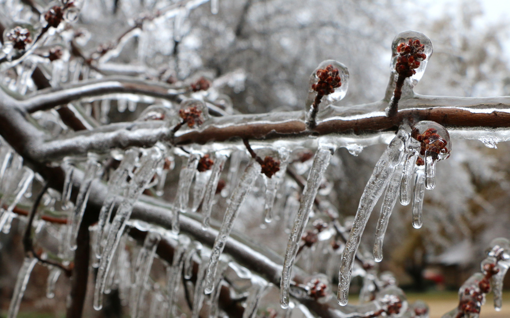 What's The Difference Between Sleet And Freezing Rain And Graupel And ...