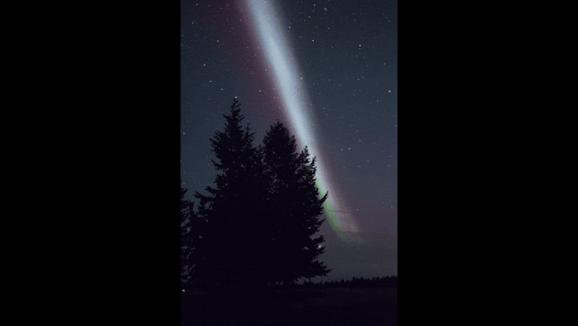 An early evening appearance by Steve over Helena Lake Ranch, BC, Canada. Steve was visible for about an hour before disappearing into the night sky.
