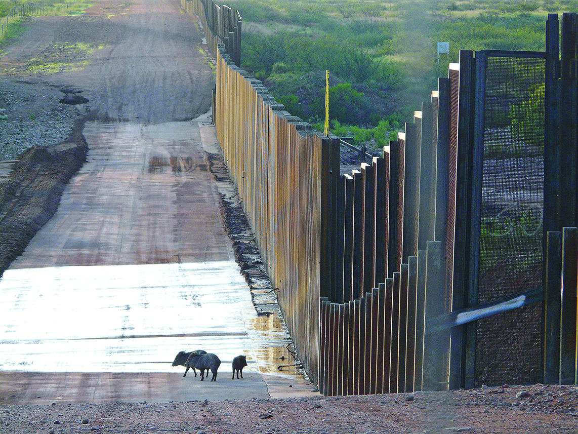 2 500 Scientists Warn Against The Border Wall S Huge Environmental Cost   A657db172dbc 