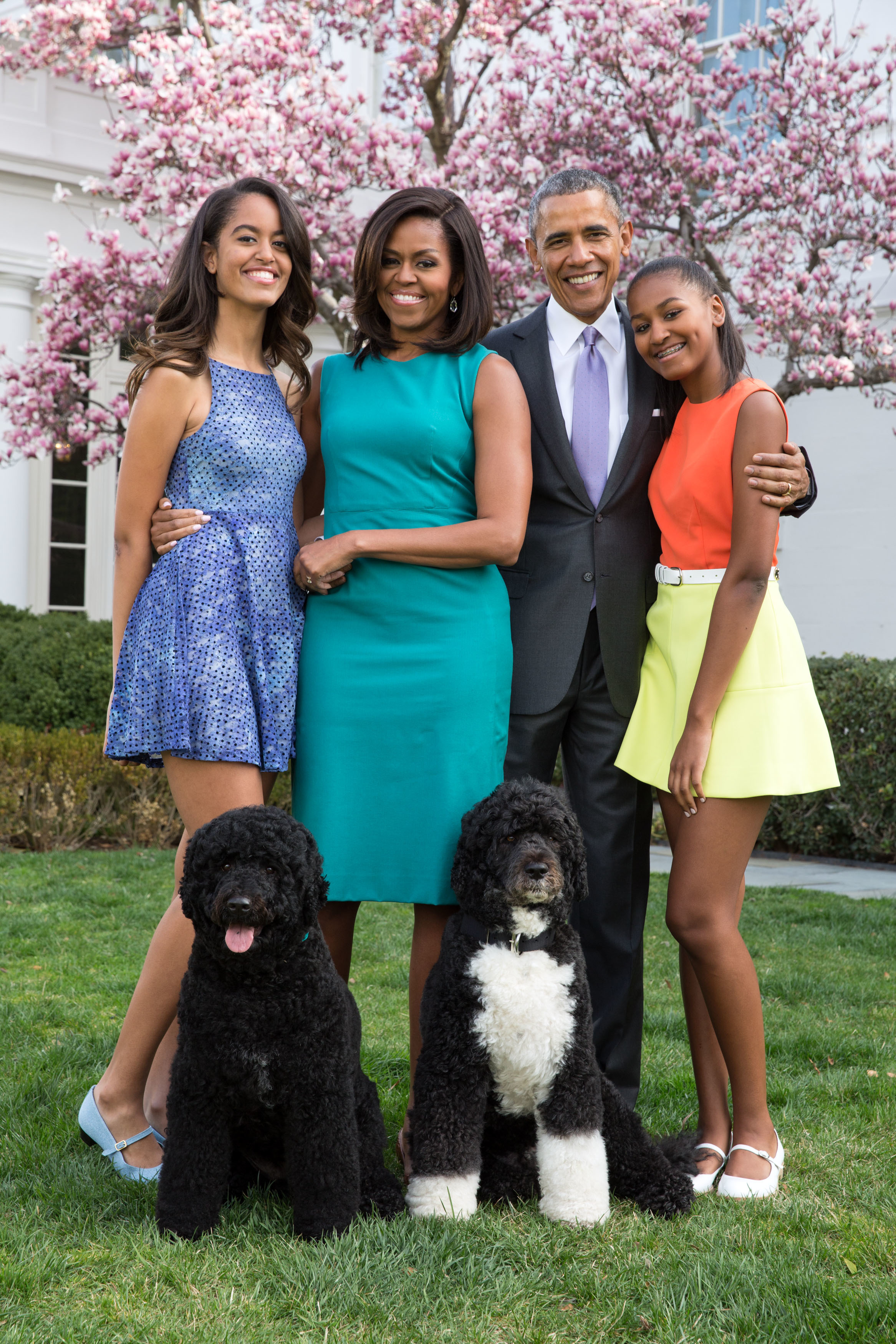 Sunny Obama's Attack Was a Bloody Anomaly for a Portuguese Water Dog Inverse