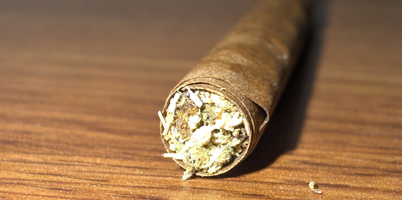 Download You Can Still Smoke Old Marijuana | Inverse