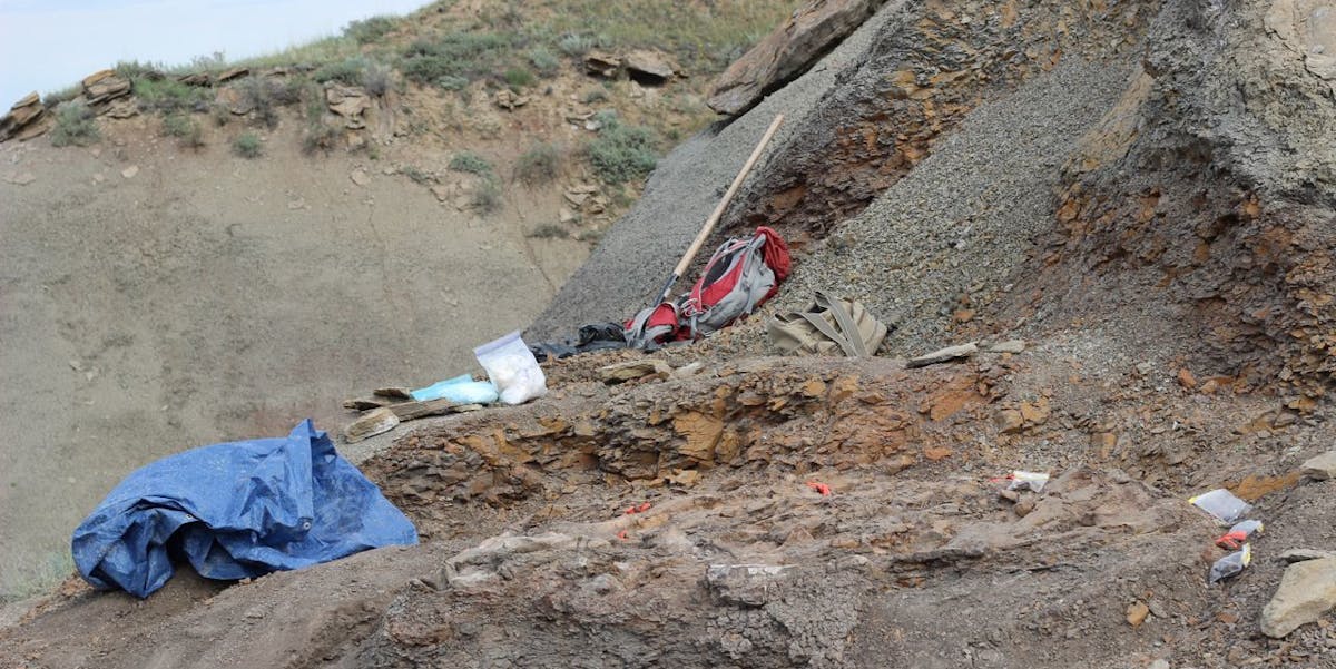 paleontology dig sites