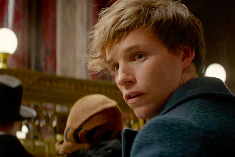 The 'Fantastic Beasts' Audience Is 'Harry Potter' Fans 