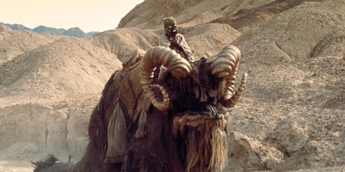 You'll Tragically Never Ride a Bantha at Disney's Star Wars Land | Inverse