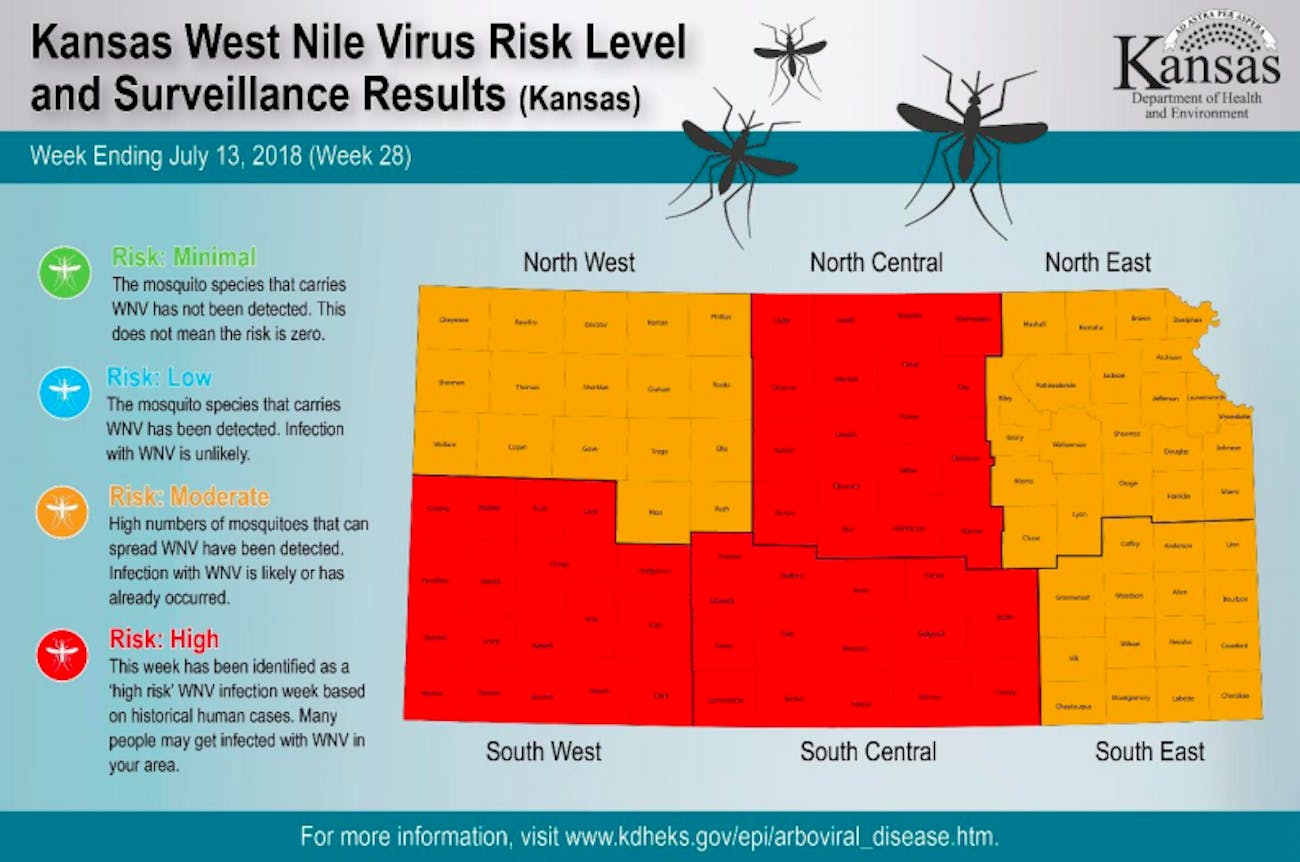 Kansas Dept Of Agriculture Issues Warning West Nile Anemia Confirmed In Horses - 3wfclqt